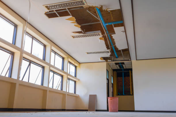 Best Mold removal after water damage  in West Bountiful, UT