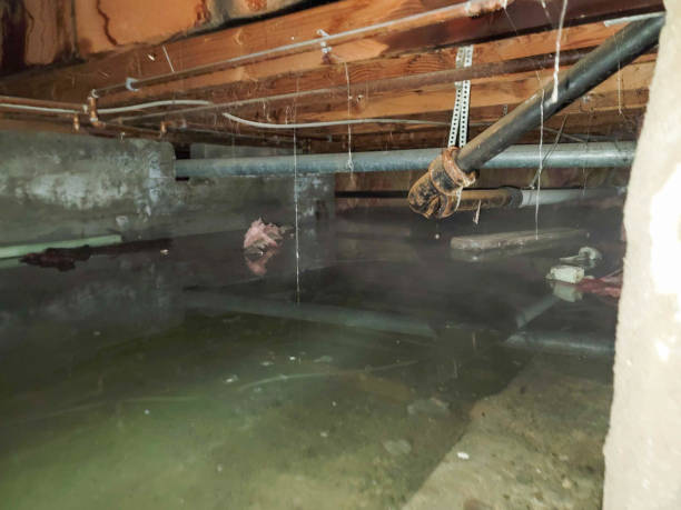 Best Water damage repair service  in West Bountiful, UT