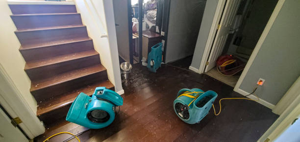 Best Water damage contractors near me  in West Bountiful, UT