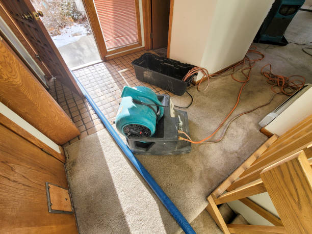 Best 24/7 water damage repair  in West Bountiful, UT