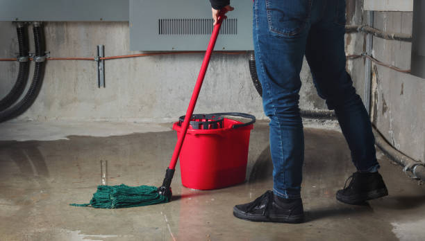 Best Flood restoration services  in West Bountiful, UT