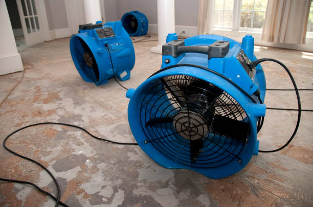 Best Water damage restoration near me  in West Bountiful, UT