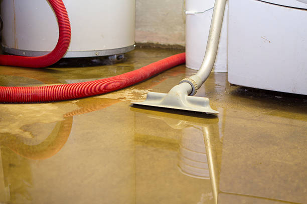 Best Water damage restoration process  in West Bountiful, UT