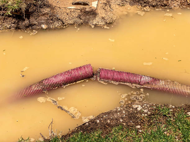 Best 24/7 water damage repair  in West Bountiful, UT